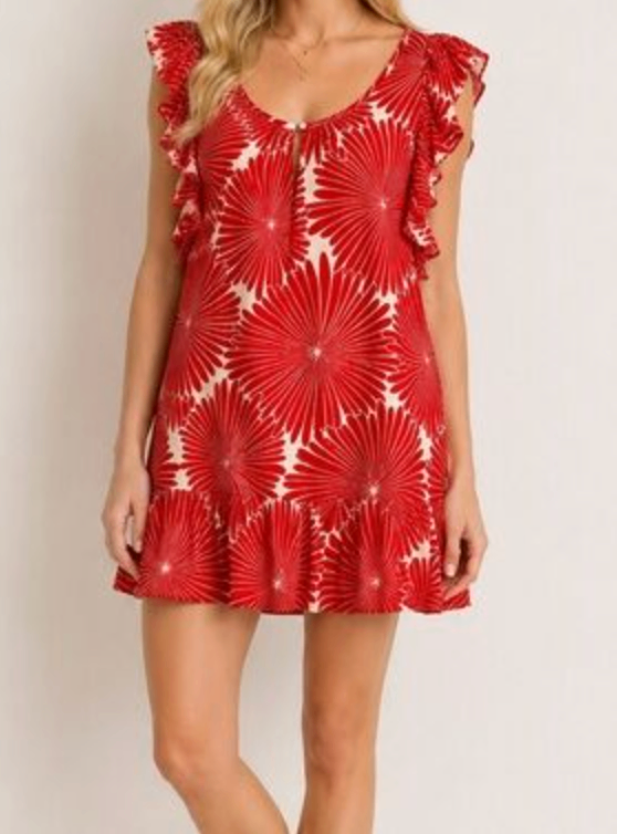 J.Crew Dress XXS Red and White